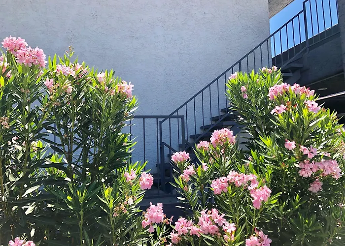 Siegel Slots And Suites